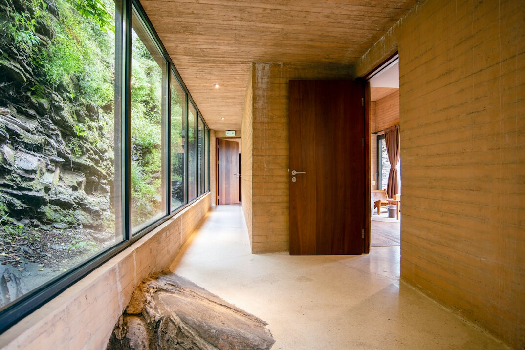 biophilic interior design