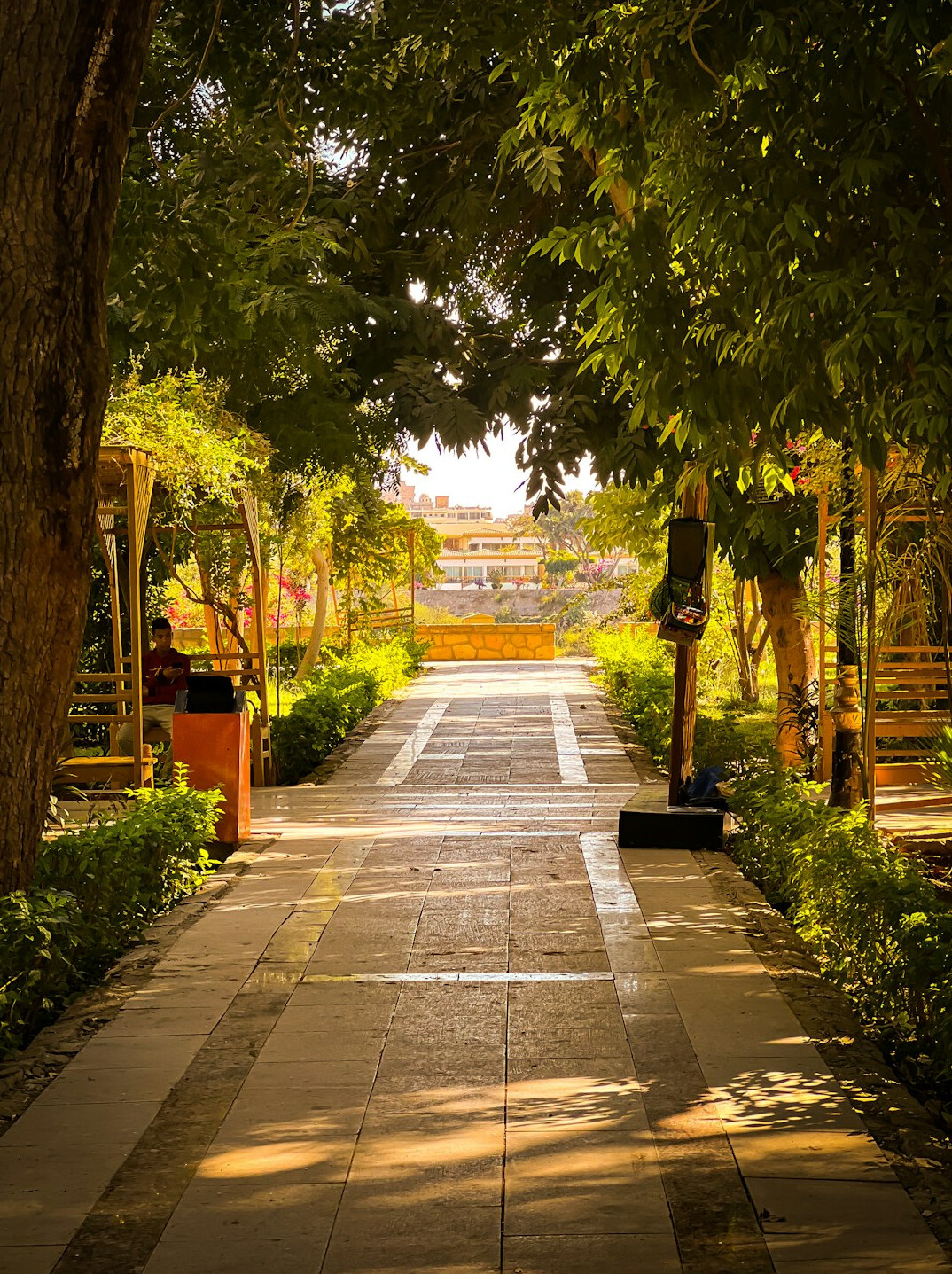 celebrity garden landscape